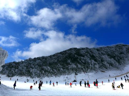 滑雪场地大全之金佛山滑雪场