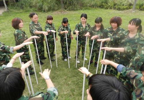 不倒的森林.jpg