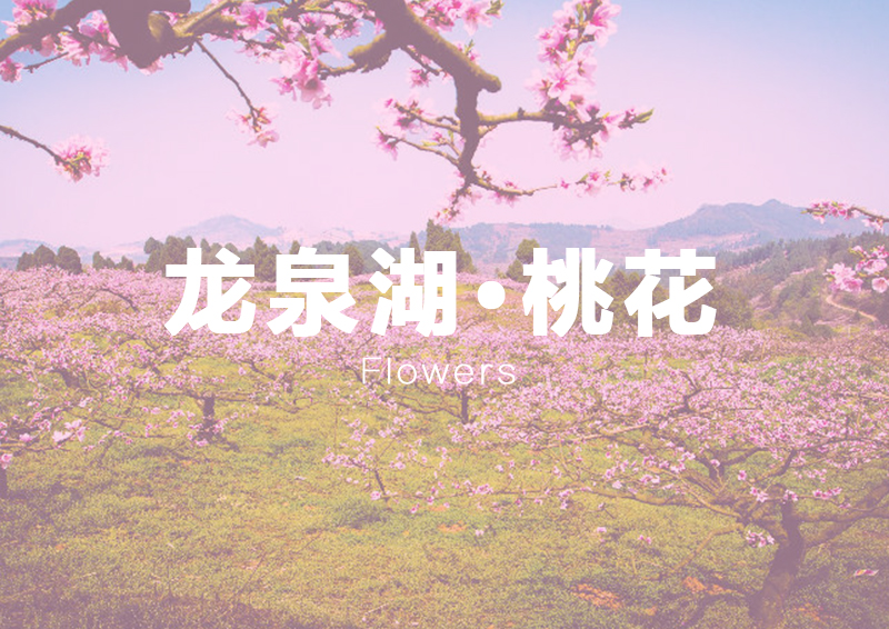 茶店镇龙泉湖.jpg
