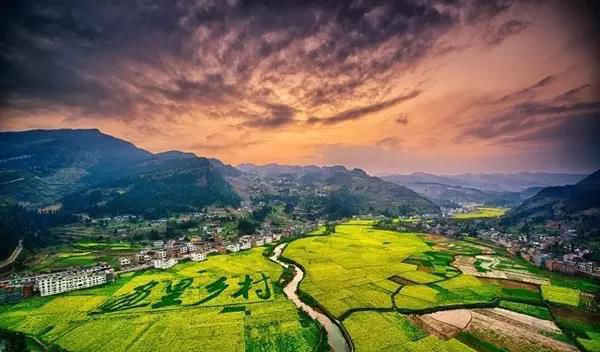 拓展基地之古藺雙沙油菜花